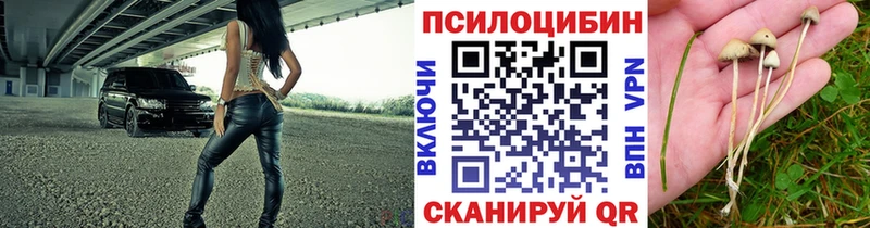 даркнет сайт  сайты даркнета официальный сайт  Галлюциногенные грибы прущие грибы  Лабинск 