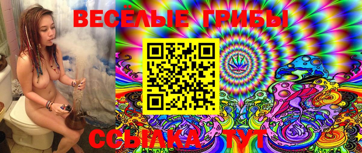 Галлюциногенные грибы MAGIC MUSHROOMS  Галлюциногенные грибы ЛСД  Вход с VPN  Лабинск 
