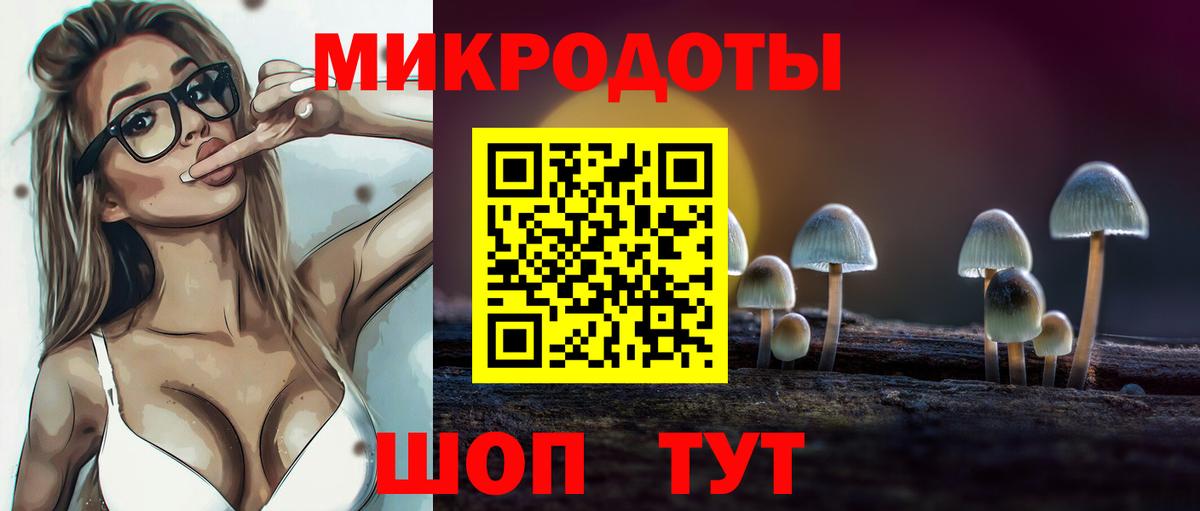 Галлюциногенные грибы прущие грибы Лабинск